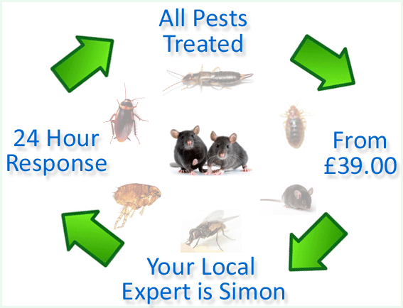 pest control Wraxall