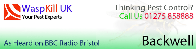 pest control Backwell