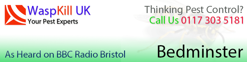 pest control Bedminster