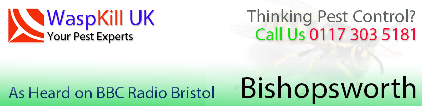 pest control bishopsworth