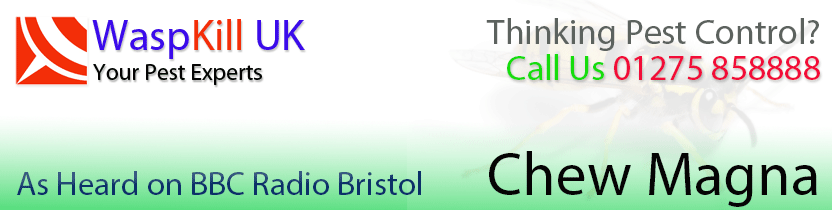 pest control Chew Magna