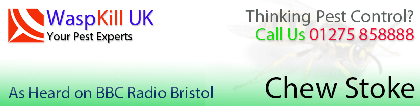 pest control Chew Stoke