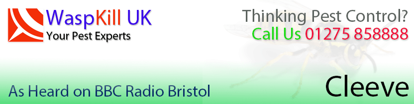 pest control Cleeve