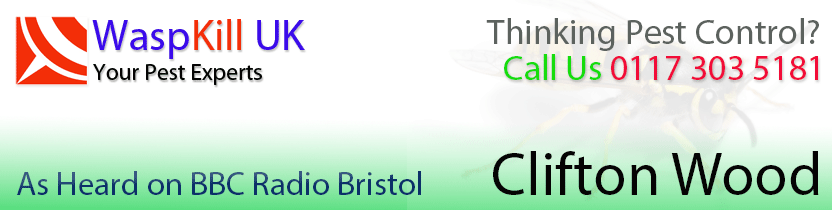 pest control Clifton Wood