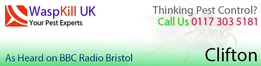 pest control Clifton