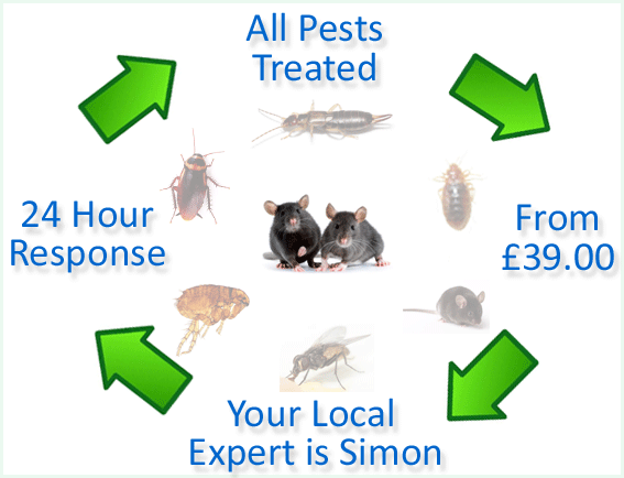 pest control Bedminster Down