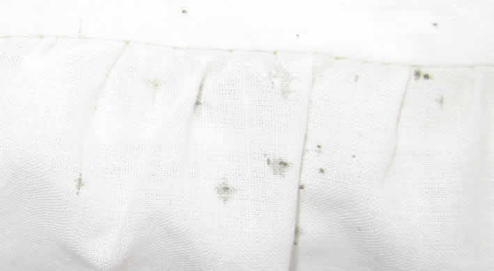bedbug blood stains bed bug droppings on bed sheets
