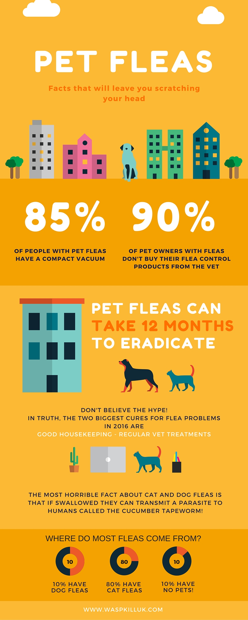 flea control infographic flea control infographic